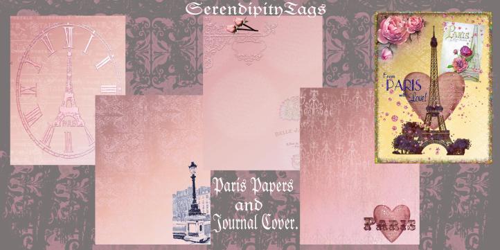 Paris Papers and Journal Cover_edited-1