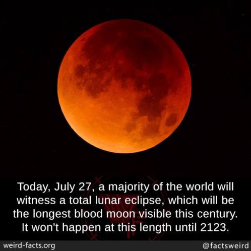 Blood Moon picture