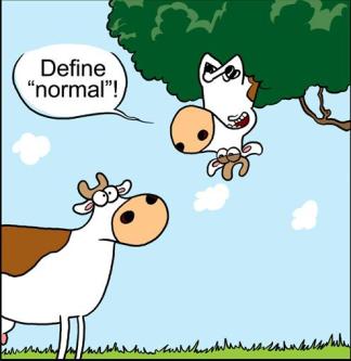 define normal